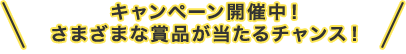 キャンペーン開催中！さまざまな賞品が当たるチャンス！
